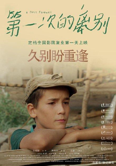 购买假爱沙尼亚ID